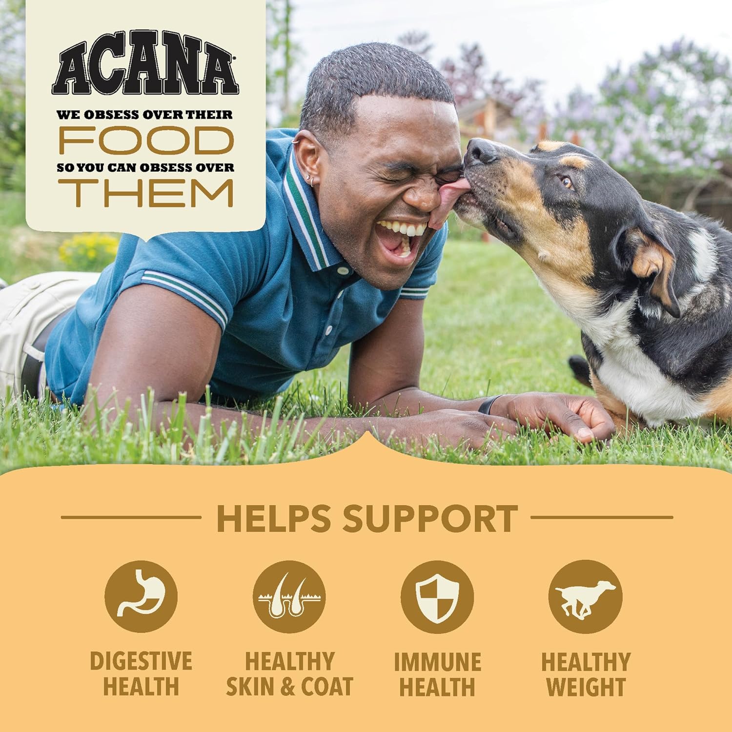 Acana Free-Run Poultry Recipe with Wholesome Grains Dry Dog Food – Gallery Image 4