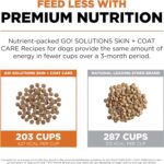 Go! Solutions Skin + Coat Care Salmon Recipe Dry Dog Food, photo 12