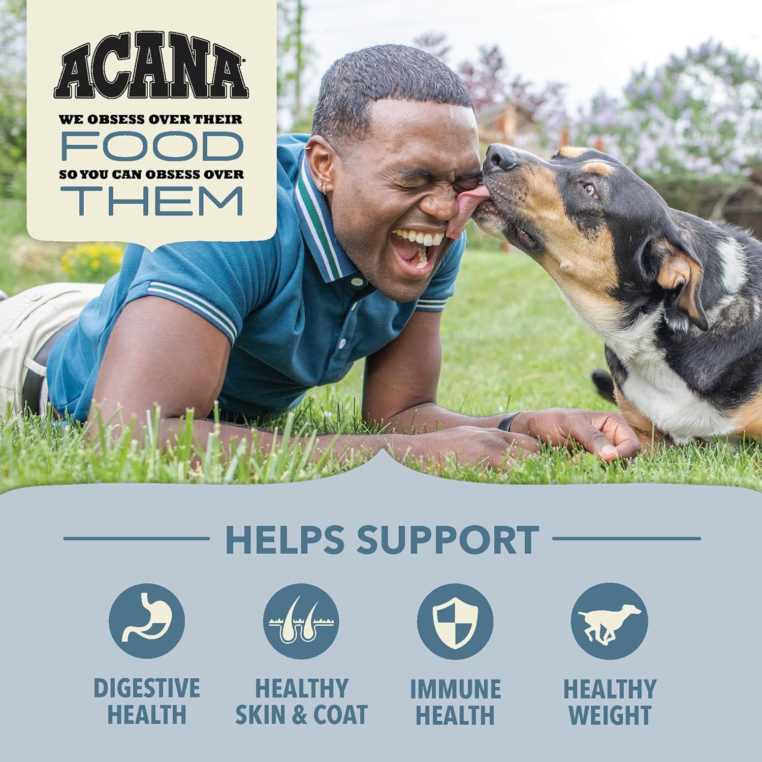 Acana Wholesome Grains Sea to Stream Fish & Grains Recipe Dry Dog Food – Gallery Image 4