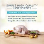 Blue Basics Limited Ingredient Diet Adult Turkey and Potato Recipe Dry Dog Food, photo 10