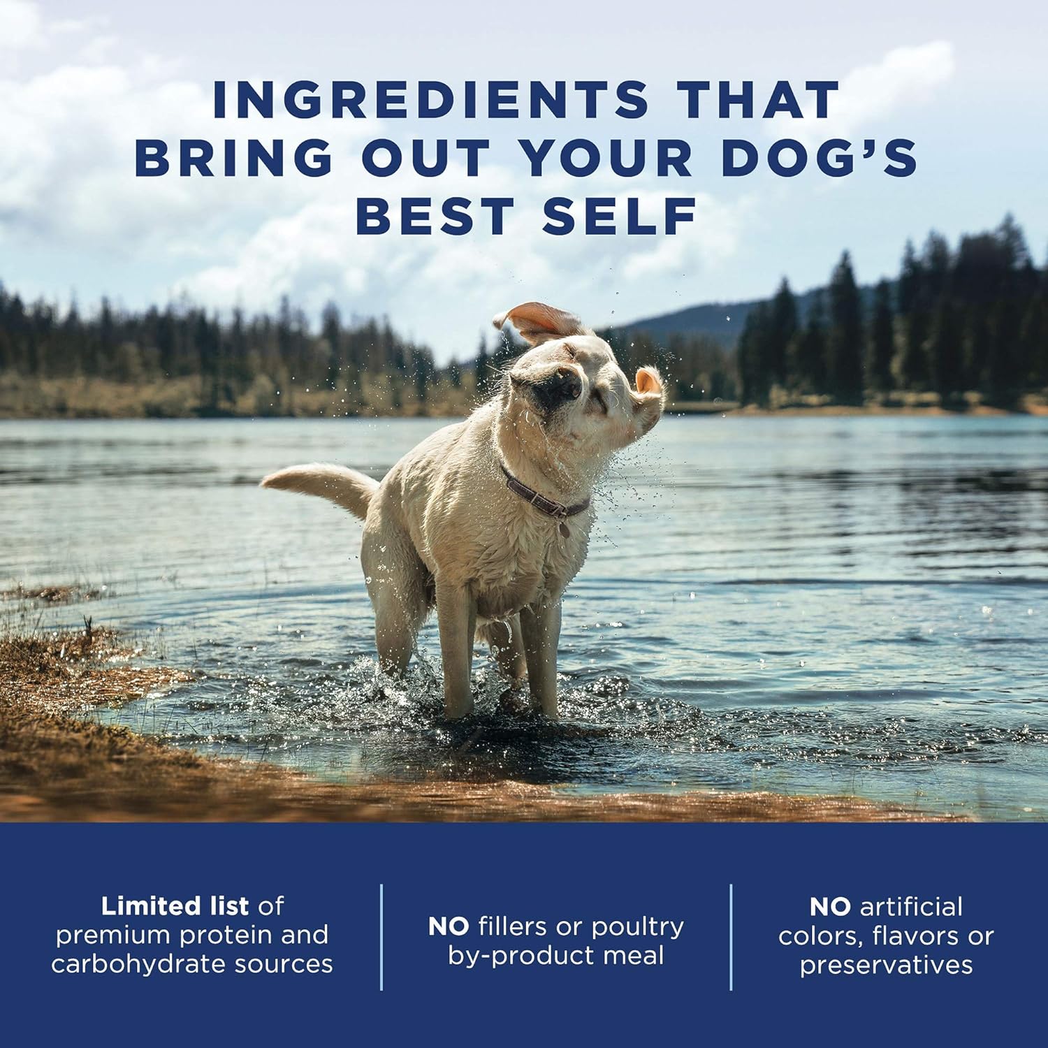 Natural Balance L.I.D. Limited Ingredient Diets Grain-Free Chicken & Sweet Potato Small Breed Bites Dry Dog Food – Gallery Image 6