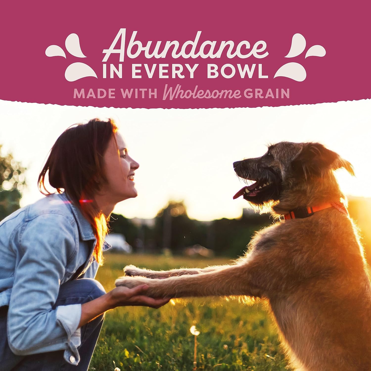 Natural Balance Fat Dogs Low Calorie Dry Dog Food – Gallery Image 10