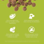 Go! Solutions Carnivore Grain-Free Chicken, Turkey + Duck Puppy Recipe Dry Dog Food, photo 13