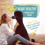 Earthborn Holistic Large Breed Dry Dog Food, photo 5
