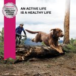 Eukanuba Adult Large Breed Chicken Dry Dog Food, photo 15