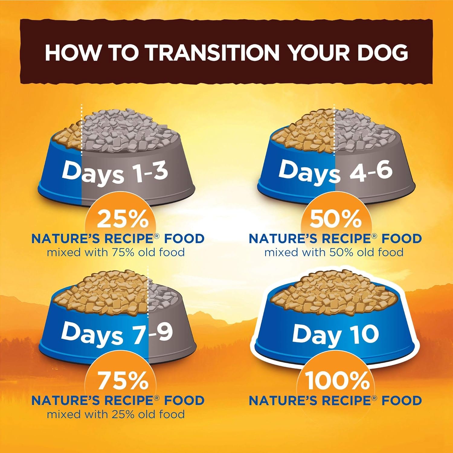 Nature’s Recipe Large Breed Grain-Free Easy to Digest Chicken, Sweet Potato, & Pumpkin Recipe Dry Dog Food – Gallery Image 6