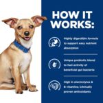 Hill’s Prescription Diet i/d Digestive Care Small Bites Chicken Flavor Dry Dog Food, photo 9