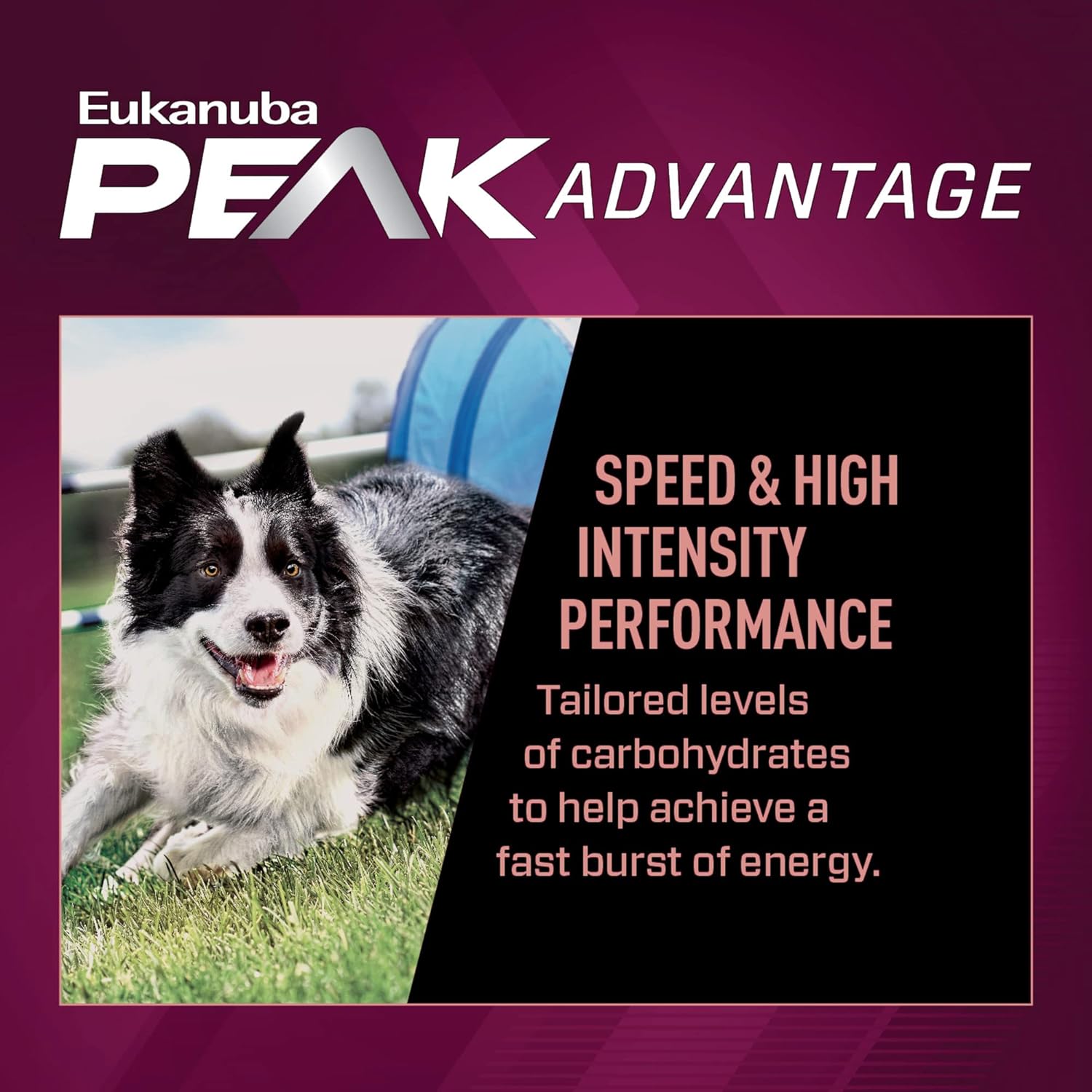 Eukanuba Premium Performance 21/13 Sprint Dry Dog Food – Gallery Image 4