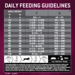 Eukanuba Premium Performance 21/13 Sprint Dry Dog Food, photo 7