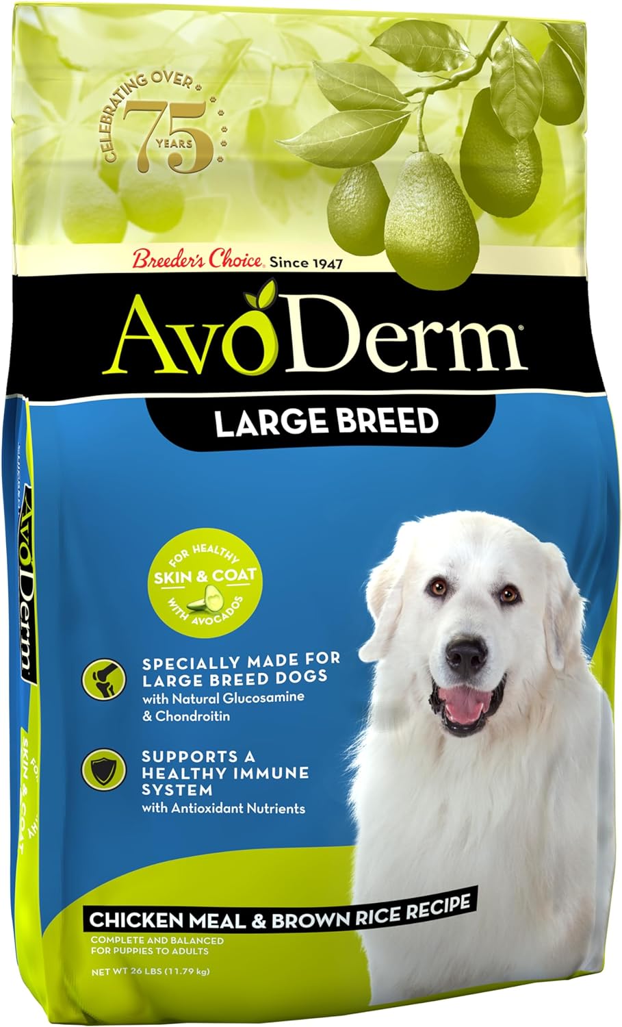 AvoDerm Large Breed Chicken Meal & Brown Rice Recipe Dry Dog Food – Gallery Image 1