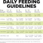 Go! Solutions Carnivore Grain-Free Chicken, Turkey + Duck Puppy Recipe Dry Dog Food, photo 15
