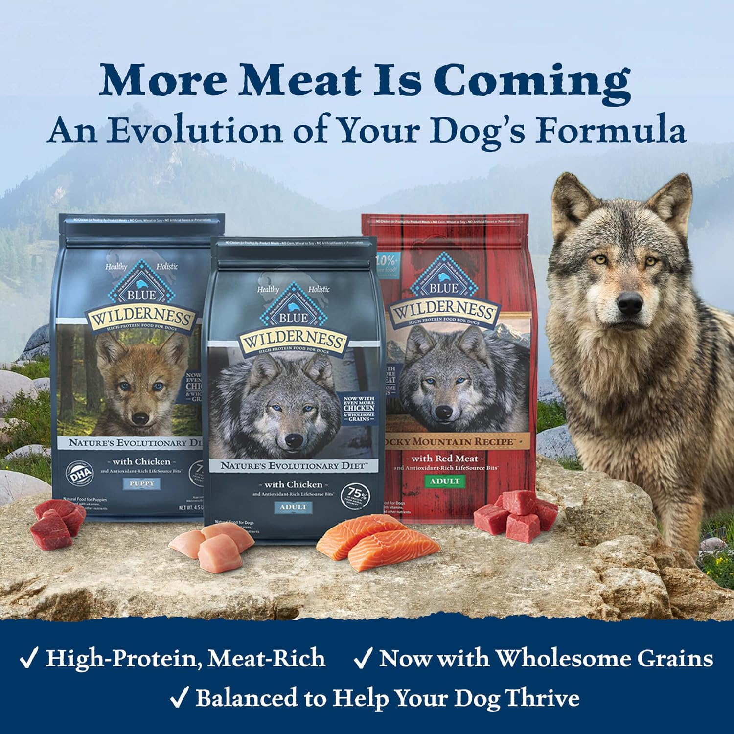 Blue Wilderness Rocky Mountain Recipe Large Breed Adult Bison Grain-Free Dry Dog Food – Gallery Image 2