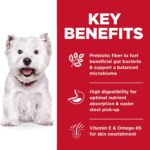 Hill’s Science Diet Adult Sensitive Stomach & Skin Small Bites Chicken Recipe Dry Dog Food, photo 6