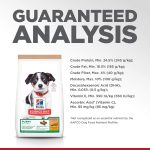 Hill’s Science Diet Puppy Chicken & Brown Rice Recipe No Corn, Wheat, Soy Dry Dog Food, photo 10