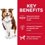 Hill’s Science Diet Adult 7+ Chicken Meal, Barley & Rice Recipe Dry Dog Food, photo 5