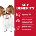 Hill’s Science Diet ght Small & Mini Chicken Recipe Dry Dog Food, photo 5