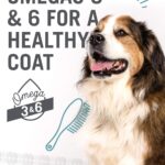 I and Love and You Naked Essentials Ancient Grains Recipe with Chicken + Turkey Dry Dog Food, photo 10