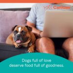 Canidae Pure Grain-Free Healthy Weight Real Chicken & Pea Recipe Dry Dog Food, photo 10