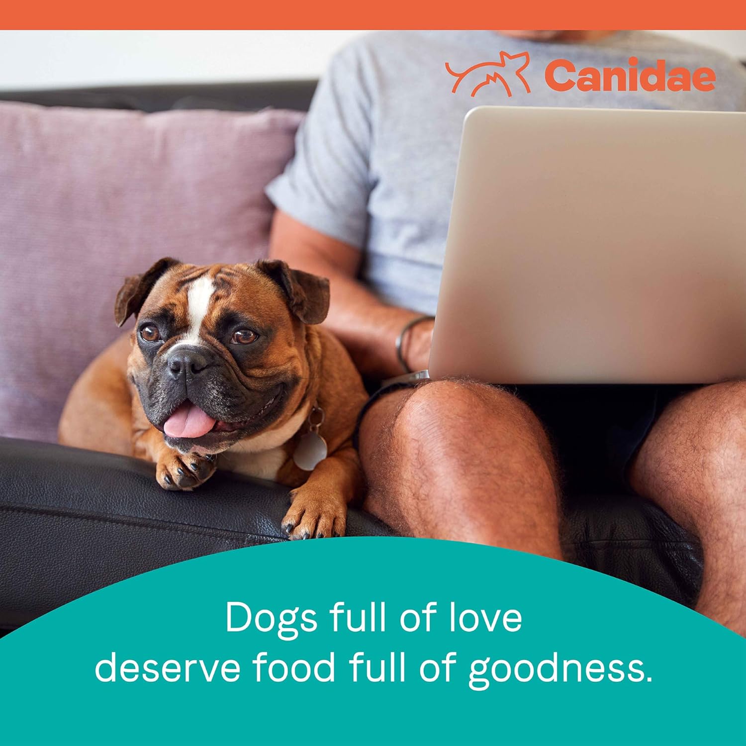 Canidae Pure Grain-Free Healthy Weight Real Chicken & Pea Recipe Dry Dog Food – Gallery Image 8
