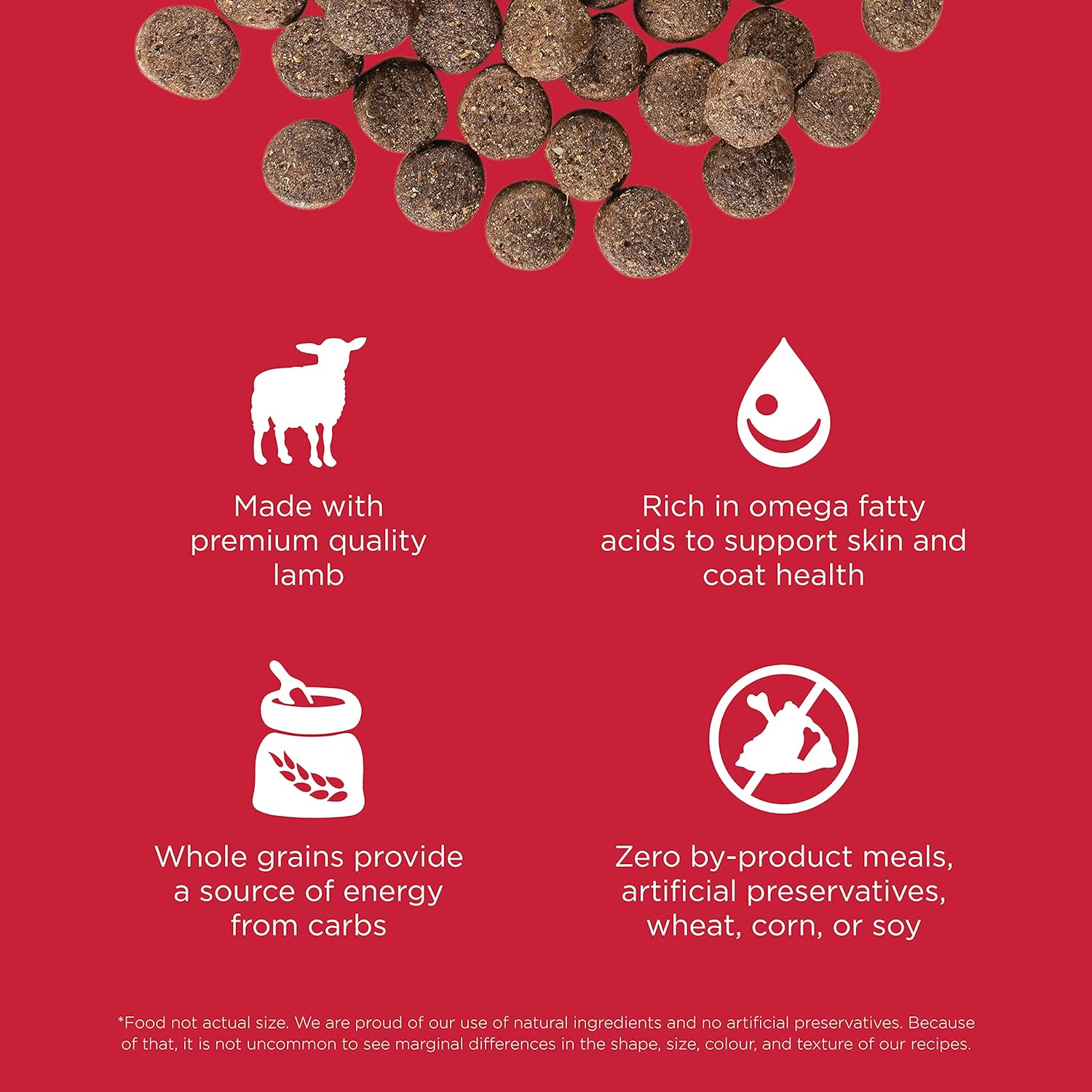 Go! Solutions Skin + Coat Care Lamb Recipe Dry Dog Food – Gallery Image 3