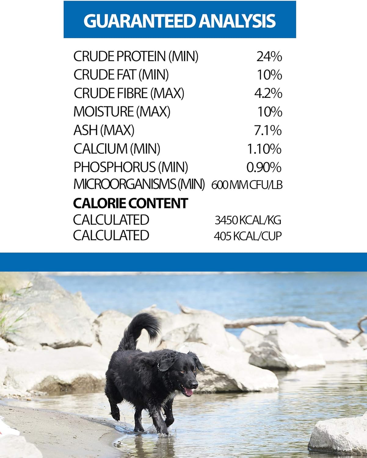 Horizon Complete Whole Grain Senior Weight Management Chicken Formula Dry Dog Food – Gallery Image 4