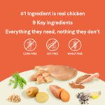Canidae Pure Grain-Free Healthy Weight Real Chicken & Pea Recipe Dry Dog Food, photo 9