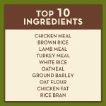 AvoDerm Triple Protein Meal Formula Dry Dog Food, photo 8