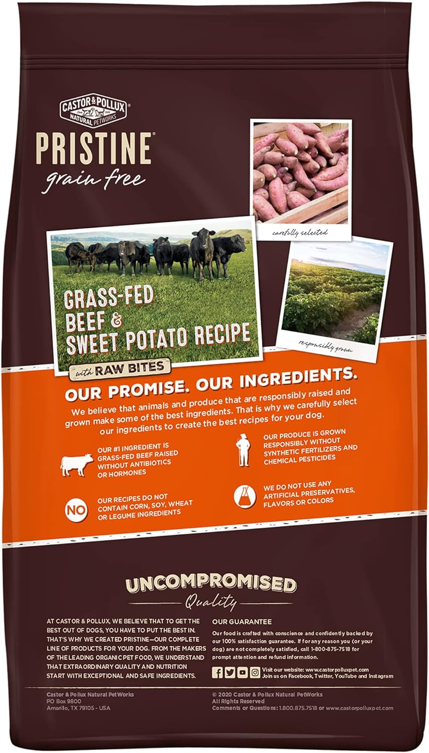 Castor & Pollux Pristine Grain-Free Grass-Fed Beef & Sweet Potato Recipe with Raw Bites Dry Dog Food – Gallery Image 8