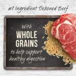 Merrick Backcountry Raw Infused Great Plains Red Recipe + Grains Dry Dog Food, photo 9
