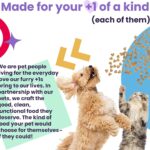 I and Love and You Baked & Saucy Beef + Sweet Potato Dry Dog Food, photo 8