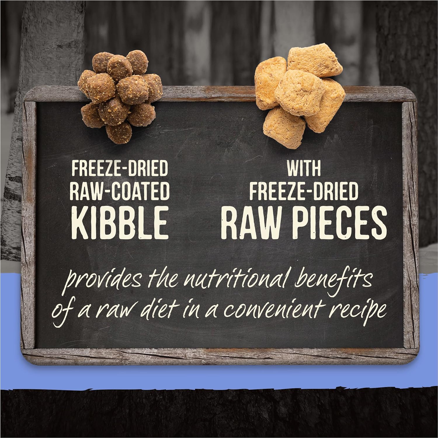Merrick Backcountry Raw Infused Puppy Recipe Dry Dog Food – Gallery Image 2
