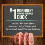 Merrick Grain-Free Real Duck + Sweet Potato Recipe Dry Dog Food, photo 11