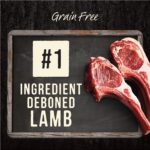 Merrick Backcountry Raw Infused Big Game Recipe Dry Dog Food, photo 9