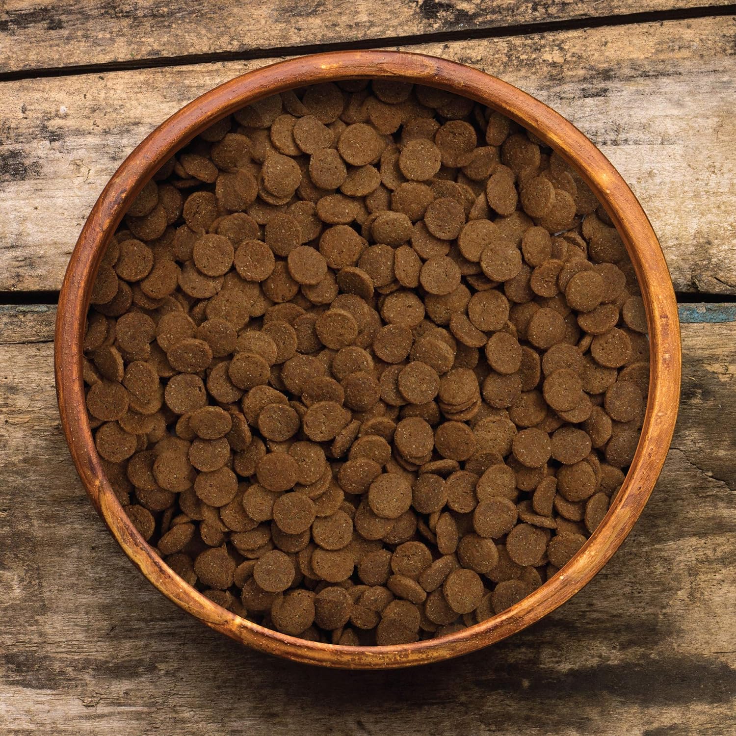 Earthborn Holistic Western Feast Grain-Free Dry Dog Food – Gallery Image 3
