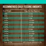Merrick Grain-Free Real Duck + Sweet Potato Recipe Dry Dog Food, photo 13