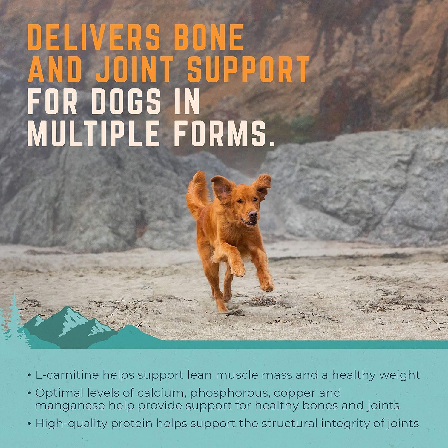 Natural Balance On The Move Dry Dog Food – Gallery Image 5