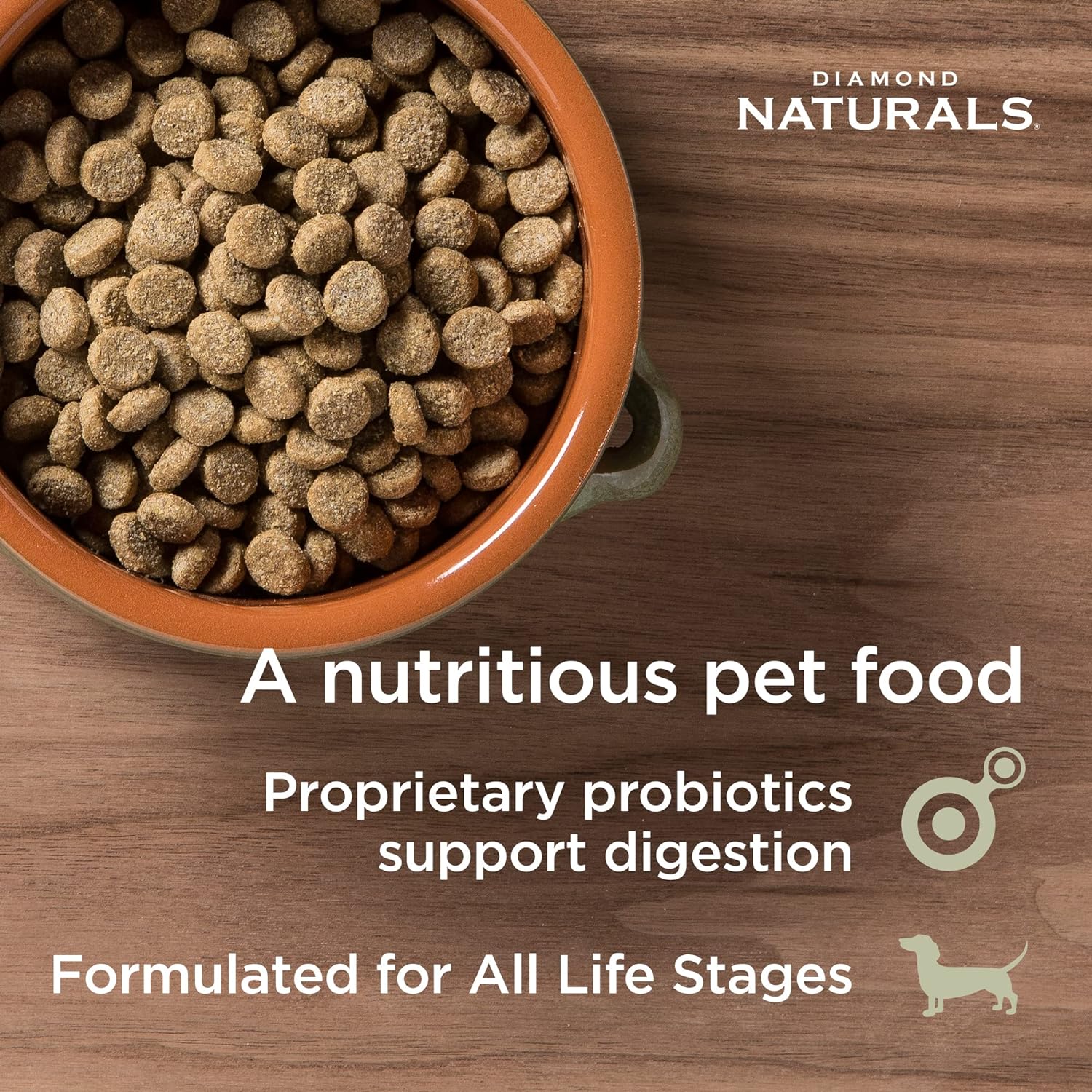 Diamond Naturals Skin & Coat Formula All Life Stages Salmon & Potato Formula Dry Dog Food – Gallery Image 3