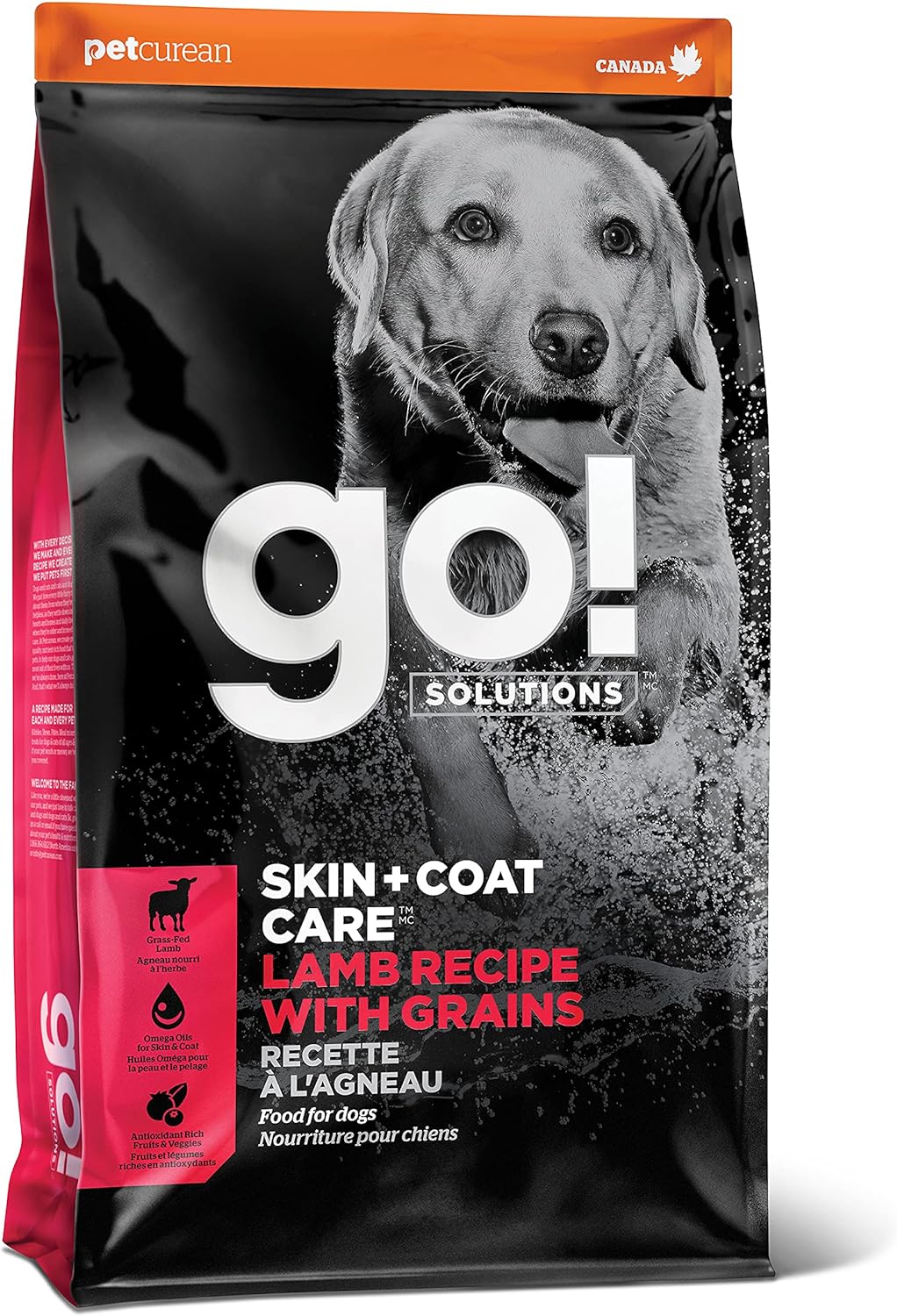 Go! Solutions Skin + Coat Care Lamb Recipe Dry Dog Food – Gallery Image 1