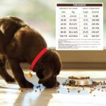 Holistic Select Adult Health Lamb Meal Recipe Dry Dog Food, photo 8