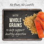 Merrick Backcountry Raw Infused Pacific Catch Recipe + Grains Dry Dog Food, photo 9