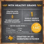 Merrick Limited Ingredient Diet Real Salmon & Brown Rice Recipe Dry Dog Food, photo 9