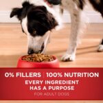 Purina One SmartBlend Adult Dog Lamb & Rice Formula Dry Dog Food, photo 9