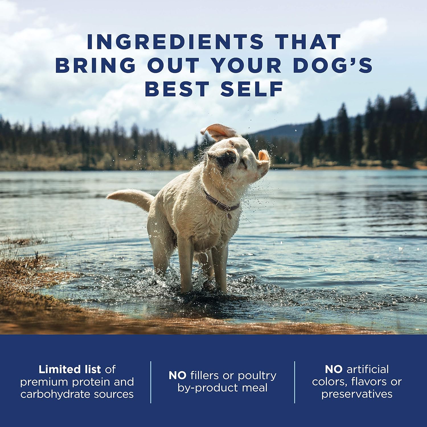 Natural Balance L.I.D. Limited Ingredient Diets Grain-Free Lamb Dry Dog Food – Gallery Image 5