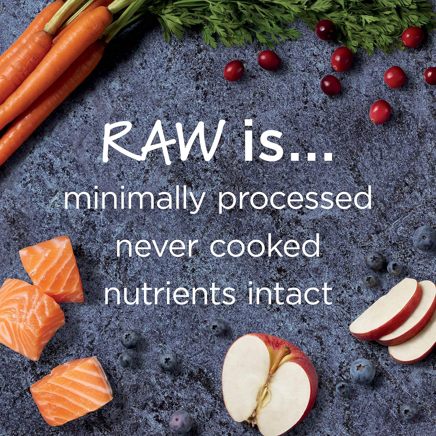 Instinct Raw Boost Grain-Free Recipe with Real Salmon Dry Dog Food – Gallery Image 4