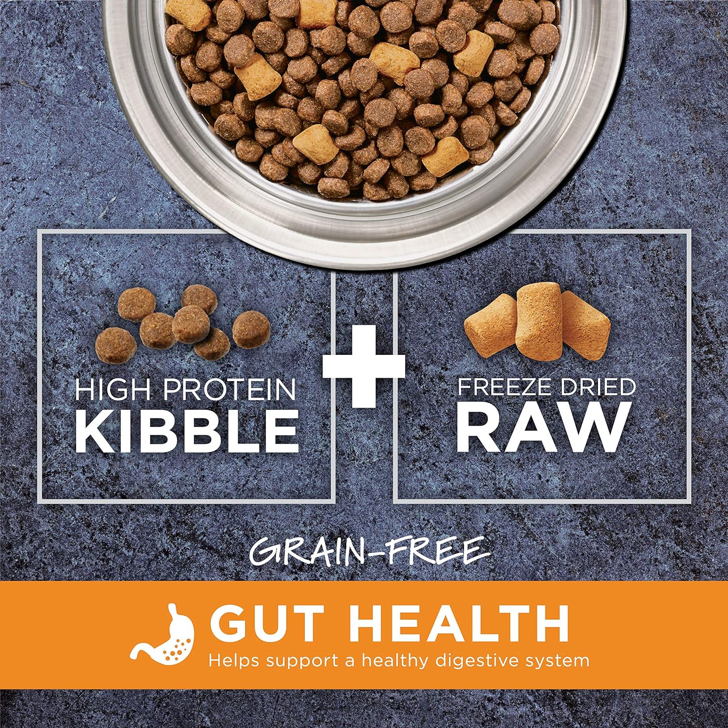 Instinct Raw Boost Grain-Free Recipe with Real Chicken for Gut Health Dry Dog Food – Gallery Image 3