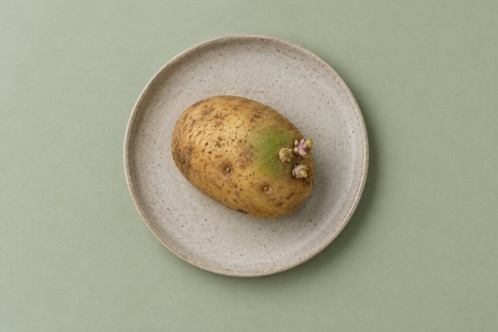 A raw potato with a green patch and small sprouts rests on a plain stoneware plate.