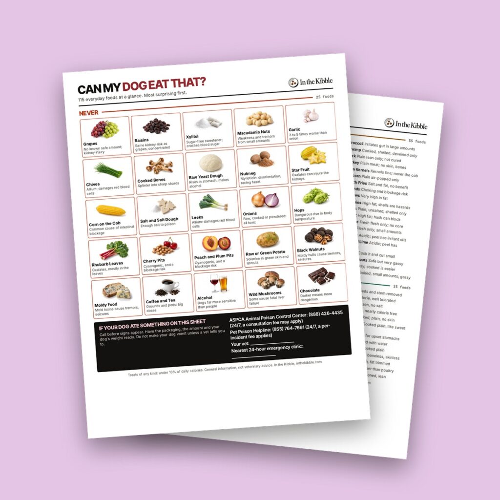 Can My Dog Eat That? Fridge Door Cheat Sheet