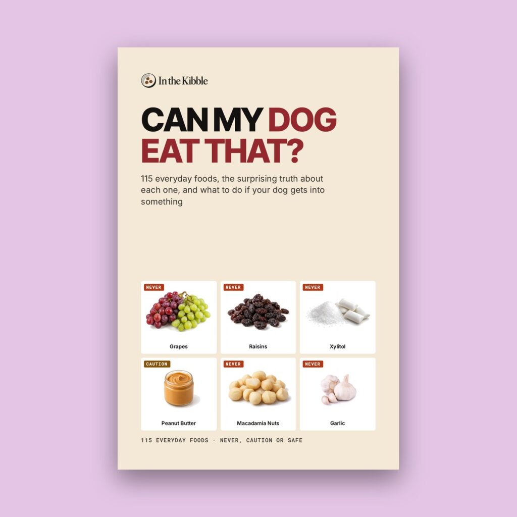 Can My Dog Eat That? In the Kibble Guide to 115 Everyday Foods