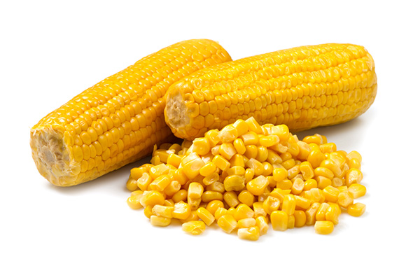 Whole Grain Corn in Dog Food