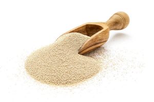 Brewers Yeast